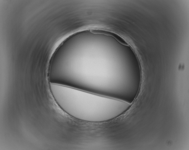 X0000110950912200906191112