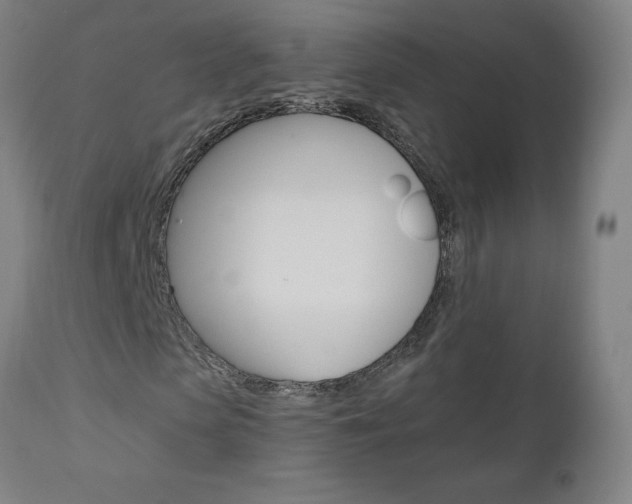 X0000110950913200906191111