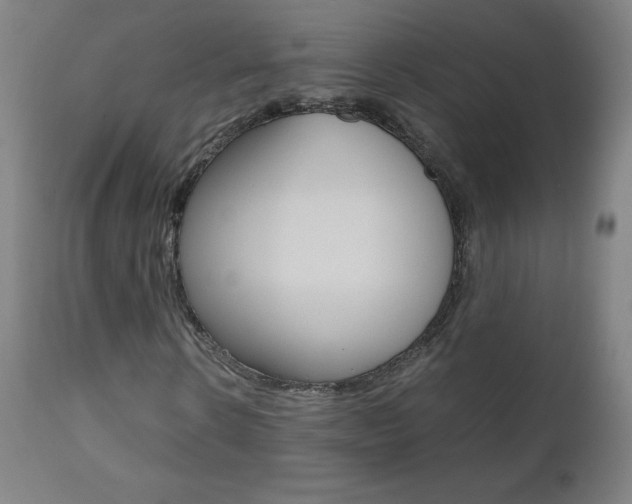 X0000110950914200906191111