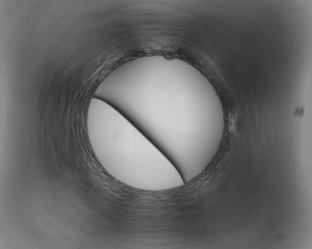 X0000110950915200906191111