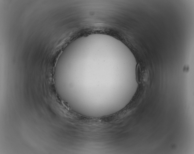 X0000110950916200906191111
