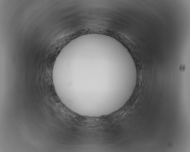 X0000110950917200906191111