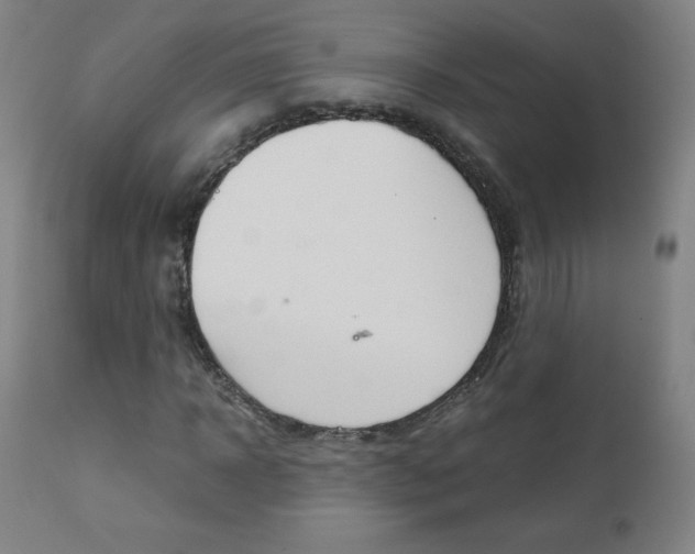 X0000110950918200906191111