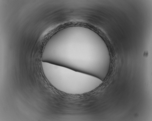 X0000110950919200906191111