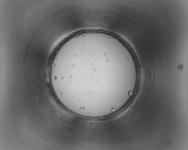 X0000110950925200906191111