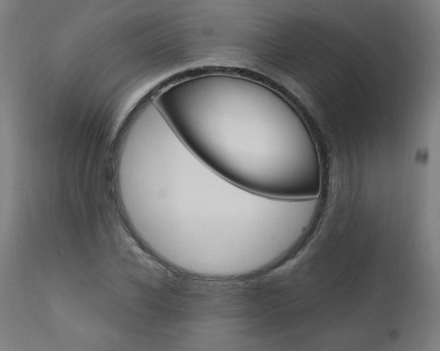 X0000110950926200906191111