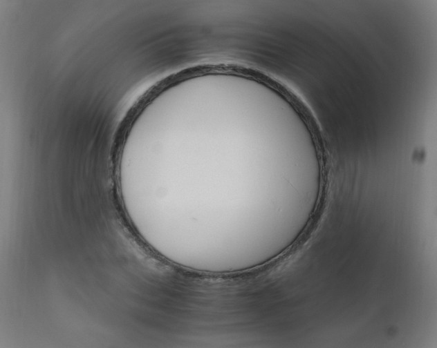 X0000110950927200906191111