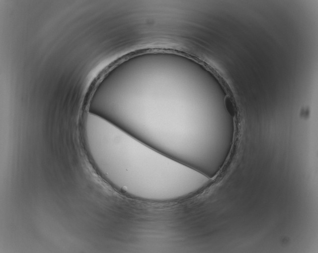 X0000110950928200906191111