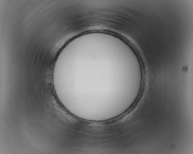 X0000110950929200906191111