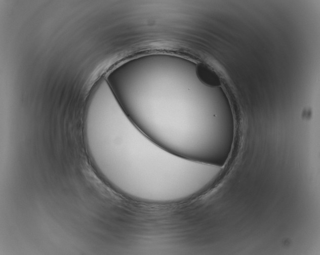 X0000110950930200906191111