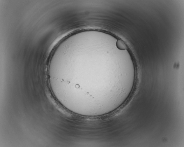 X0000110950933200906191111