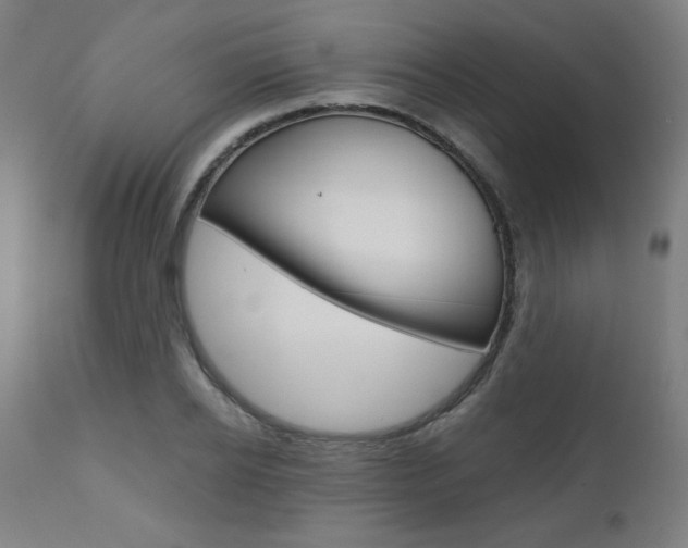 X0000110950934200906191111