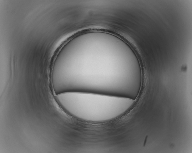 X0000110950935200906191111