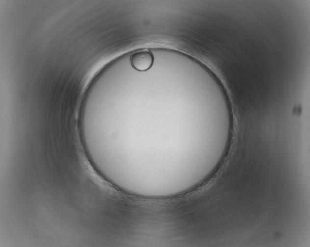 X0000110950936200906191111