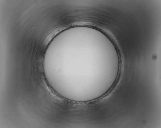 X0000110950937200906191111