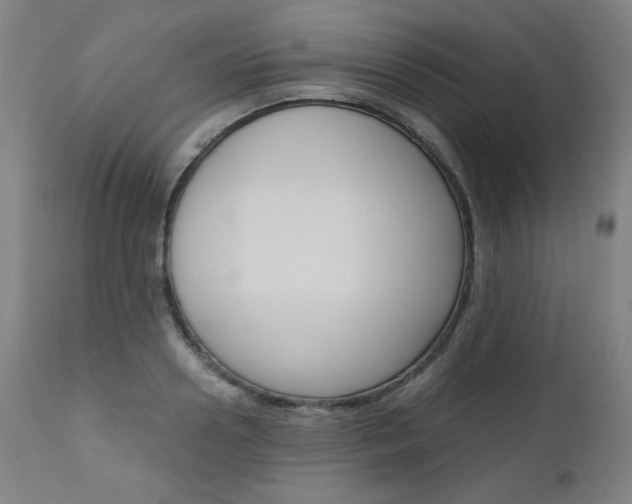 X0000110950938200906191111