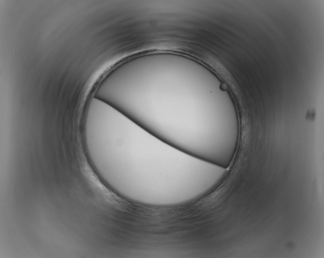 X0000110950939200906191111