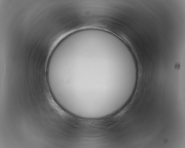 X0000110950940200906191111