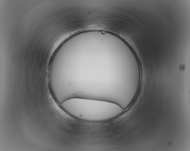 X0000110950941200906191112