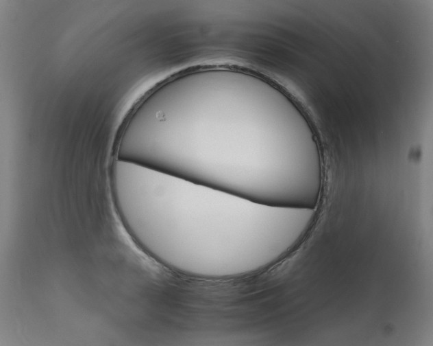 X0000110950943200906191112