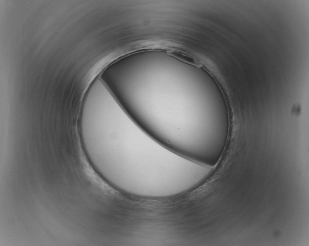X0000110950946200906191112