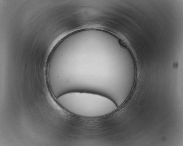 X0000110950947200906191112