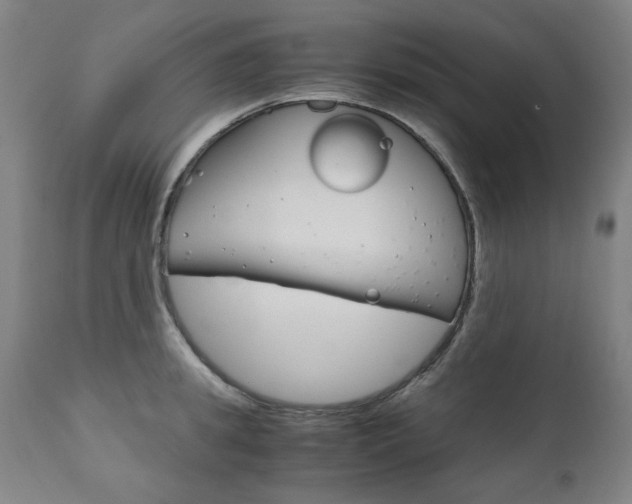 X0000110950949200906191112