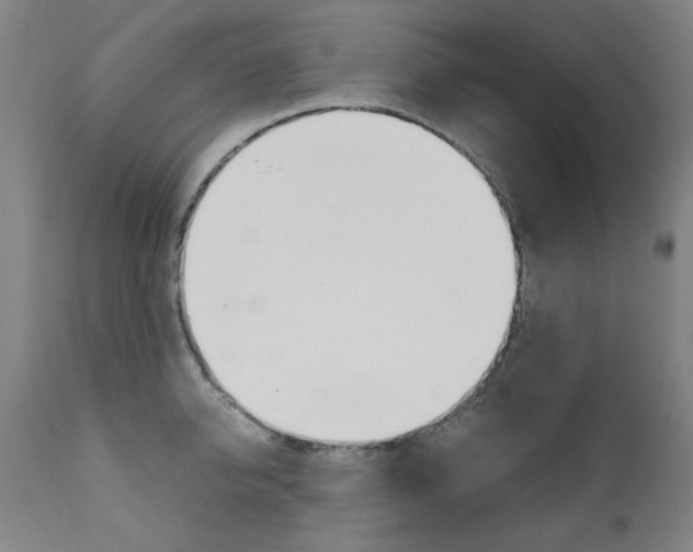 X0000110950950200906191112