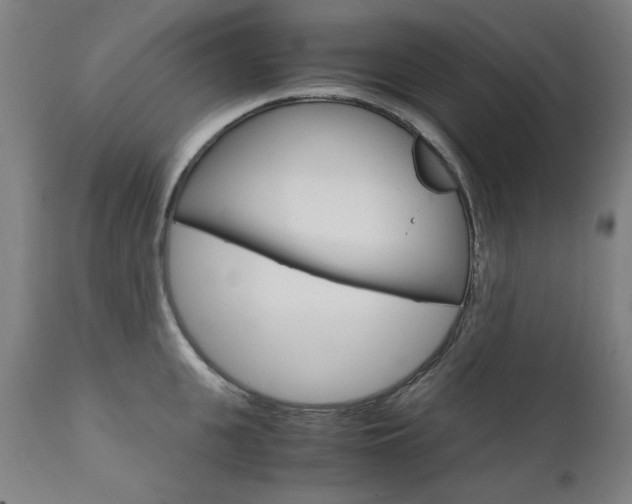 X0000110950951200906191112