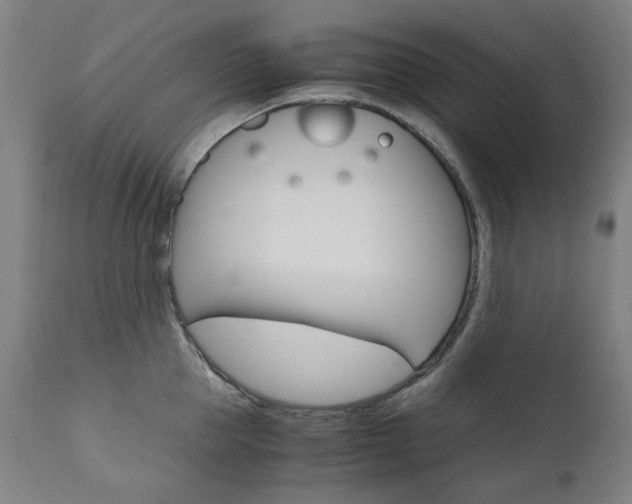 X0000110950953200906191112