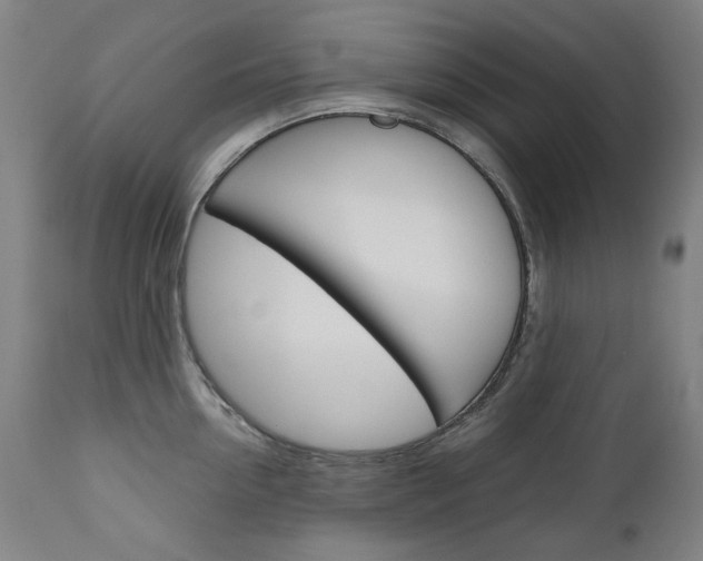 X0000110950954200906191112