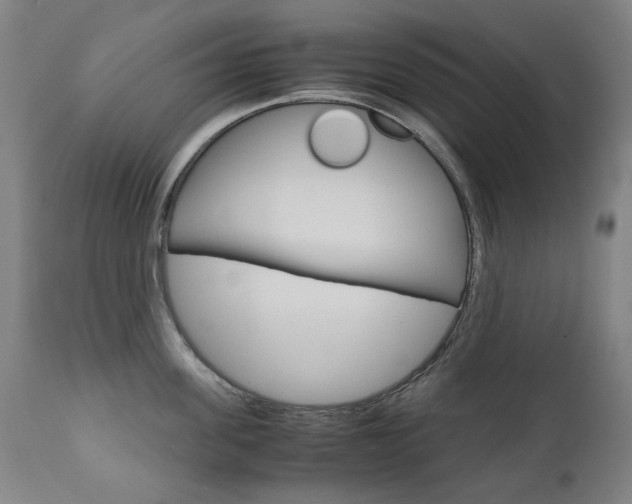X0000110950955200906191112