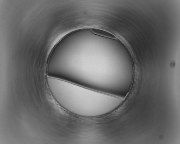 X0000110950956200906191112