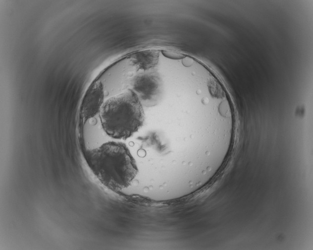 X0000110950957200906191112