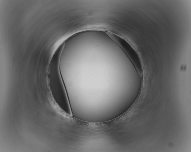 X0000110950960200906191112