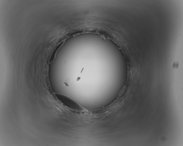 X0000110950961200906191111