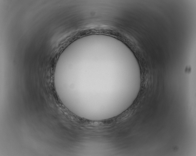X0000110950966200906191111