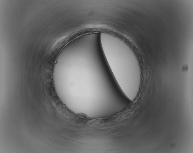 X0000110950967200906191111