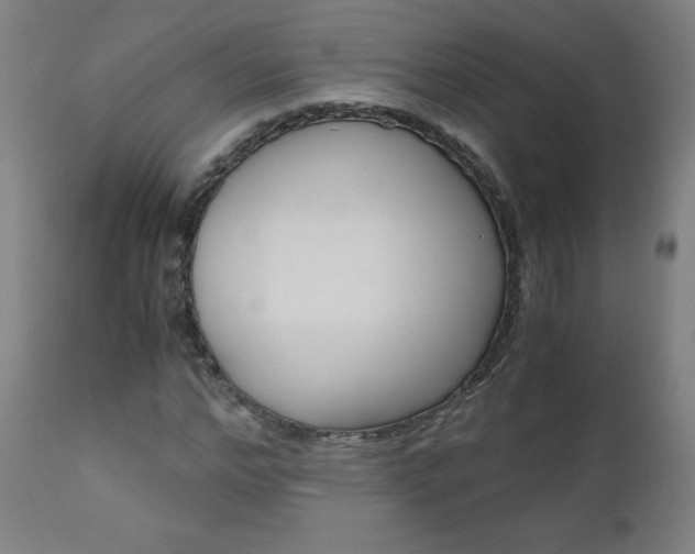 X0000110950968200906191111
