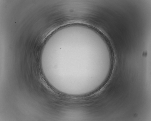 X0000110950969200906191111
