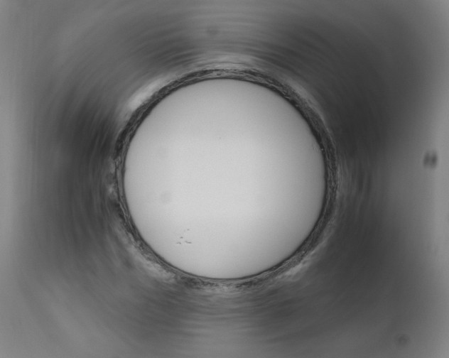 X0000110950970200906191111