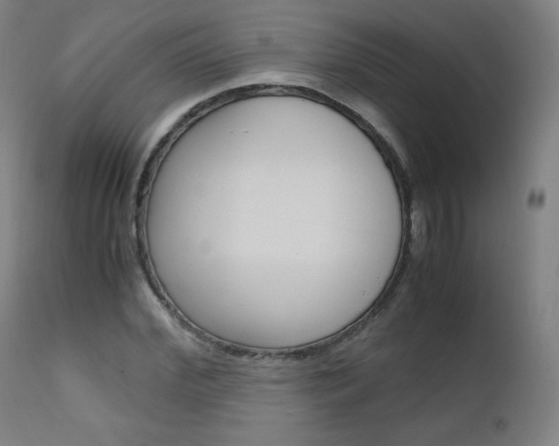 X0000110950972200906191111