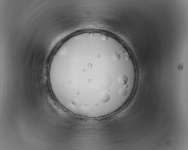 X0000110950974200906191111