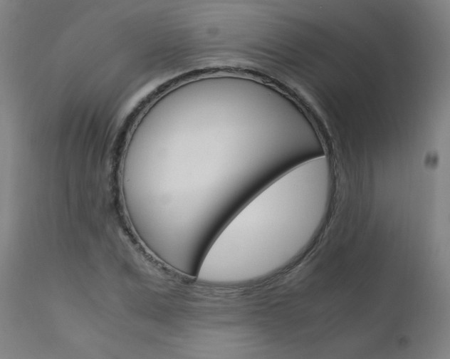 X0000110950975200906191111