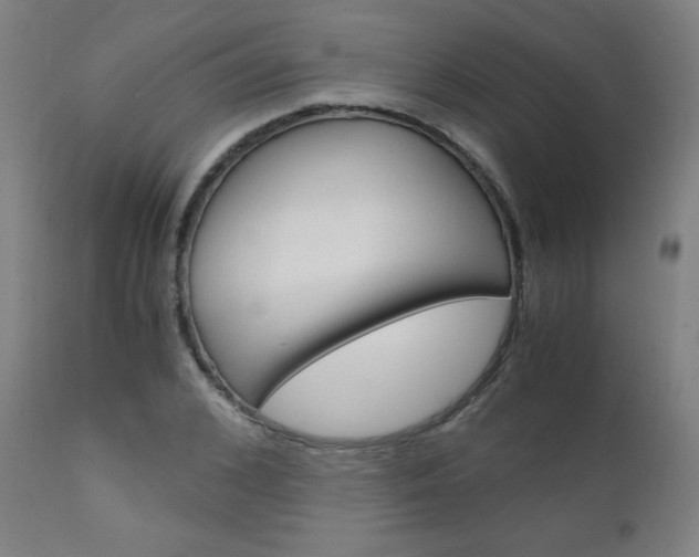 X0000110950976200906191111