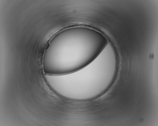 X0000110950977200906191111