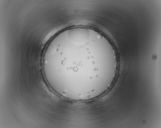 X0000110950978200906191111