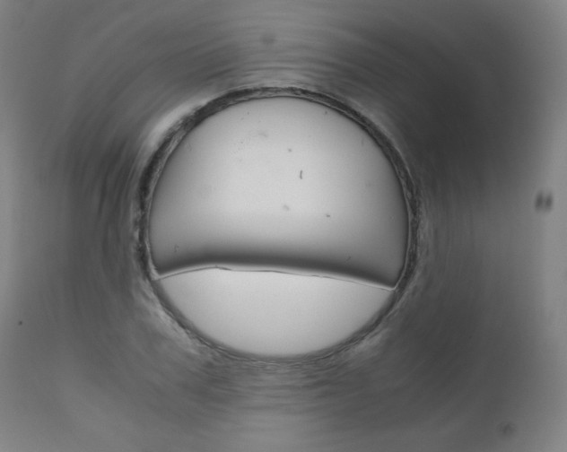 X0000110950979200906191111