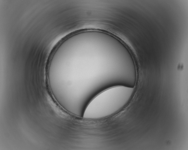 X0000110950980200906191111