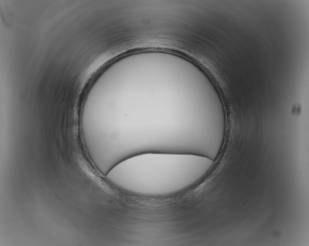 X0000110950982200906191111